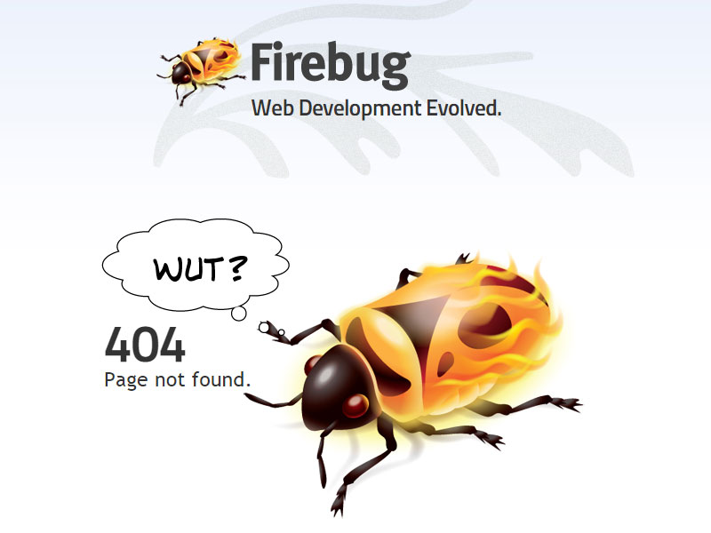 getfirebug error page